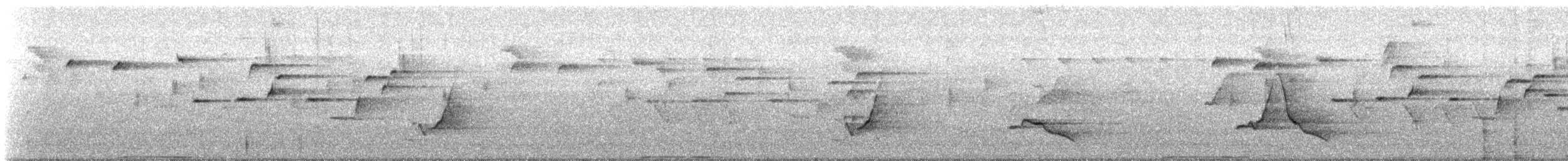 White-headed Pigeon - ML647344099