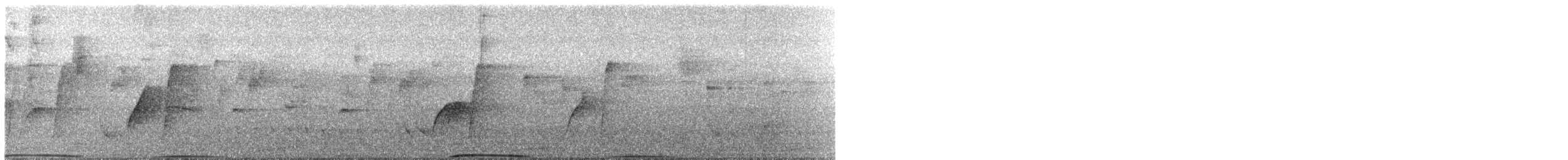 White-headed Pigeon - ML647344100