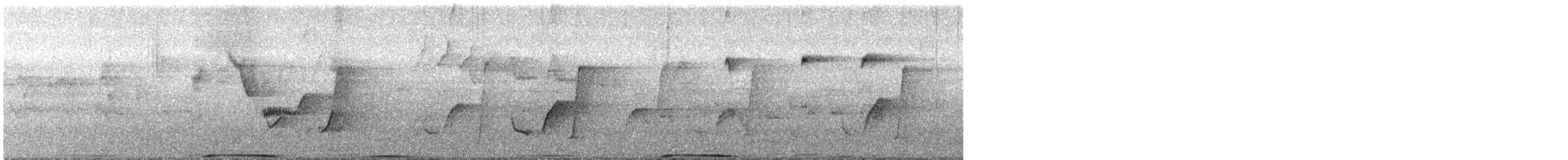 White-headed Pigeon - ML647344101