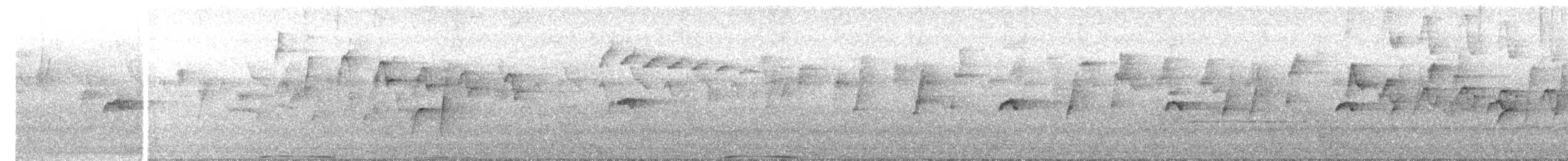 White-headed Pigeon - ML647344103