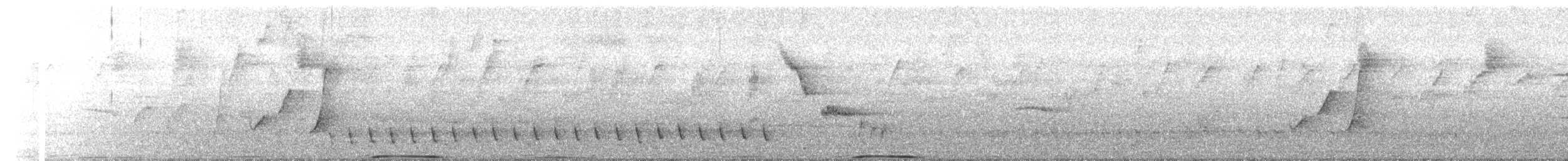 White-headed Pigeon - ML647344104