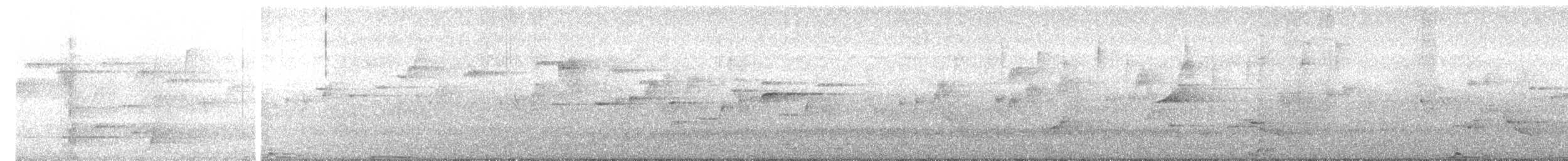 Wompoo Fruit-Dove - ML647344106