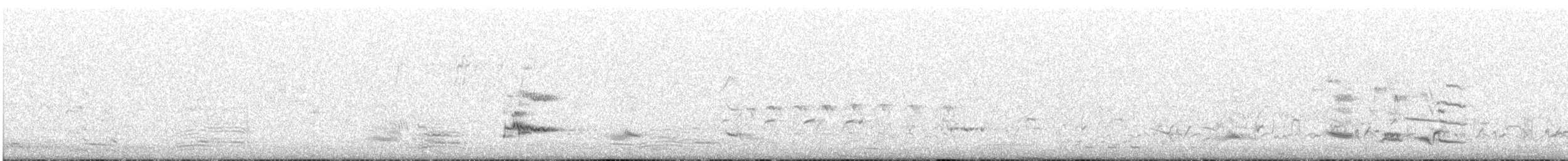 Gray Currawong - ML647344907