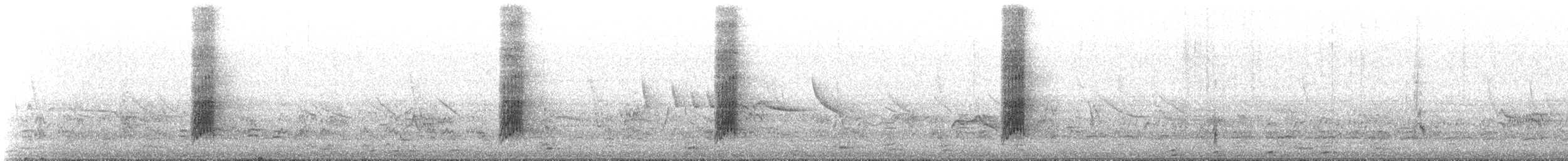 フォークランドツグミ（magellanicus／pembertoni） - ML647345013