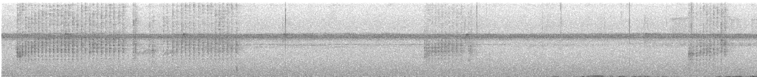 シマバラマユミソサザイ - ML647345199