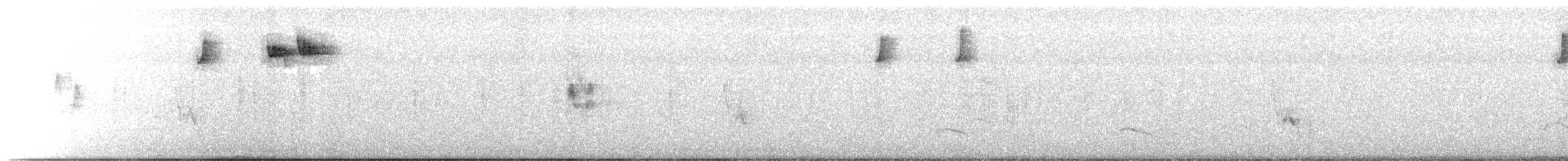 キクイタダキ - ML647345201