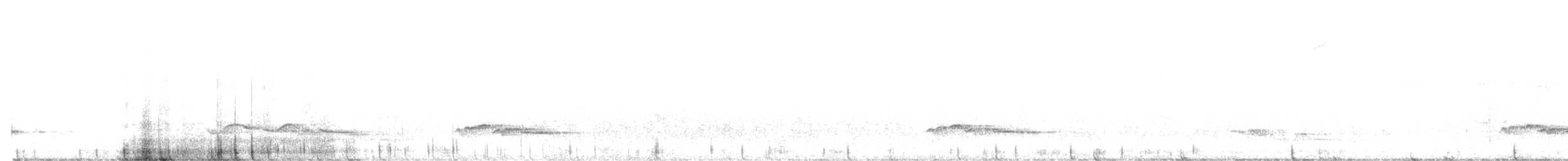 ムナジロモリミソサザイ - ML647345261