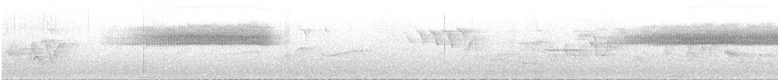 フタスジアメリカムシクイ - ML647345263