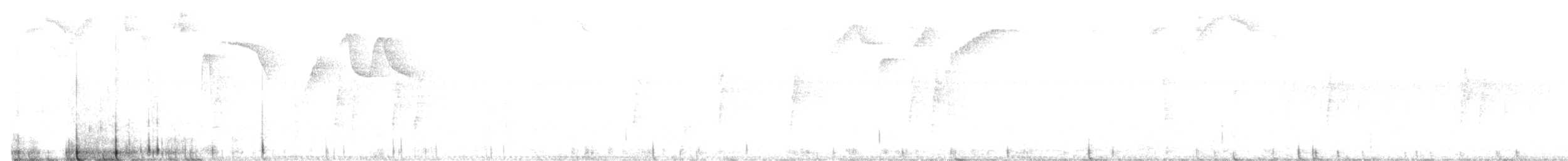 クリボウシヤブシトド - ML647345288