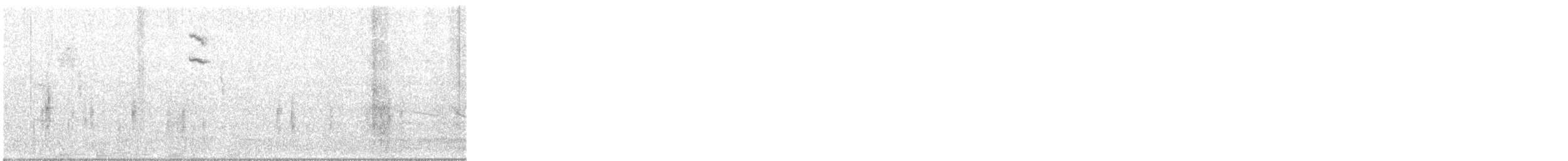 ネルソントゲオヒメドリ - ML647345367