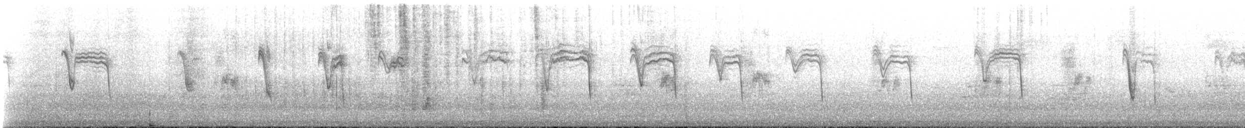 オナガマキバドリ - ML647345596