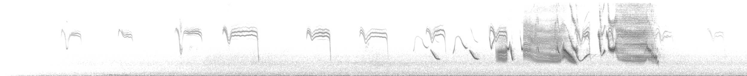 オナガマキバドリ - ML647345597