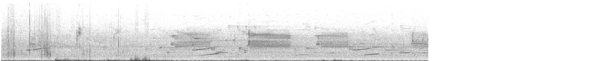 Carolinasumpfhuhn - ML647346351