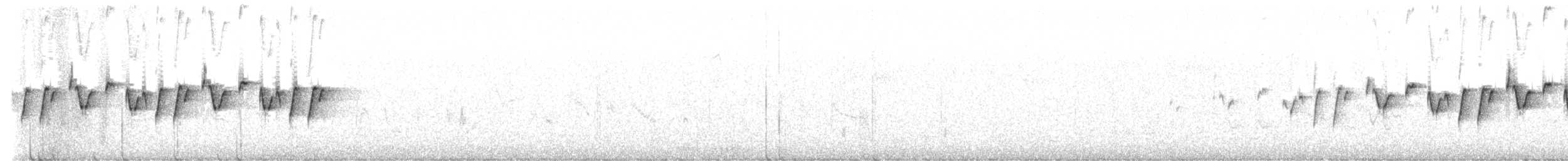 ケープオウギセッカ - ML647347253