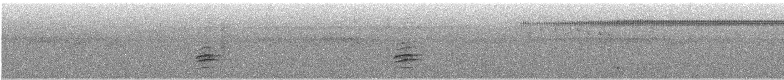 Campina Thrush - ML647348710