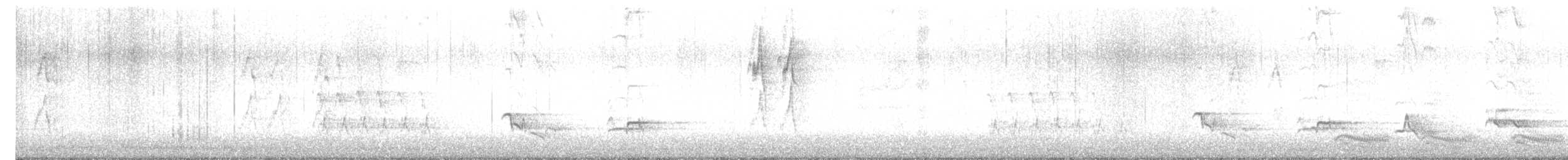 American Robin - ML647350093