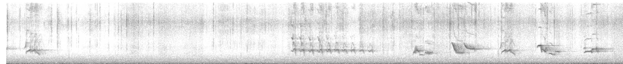 American Robin - ML647350105