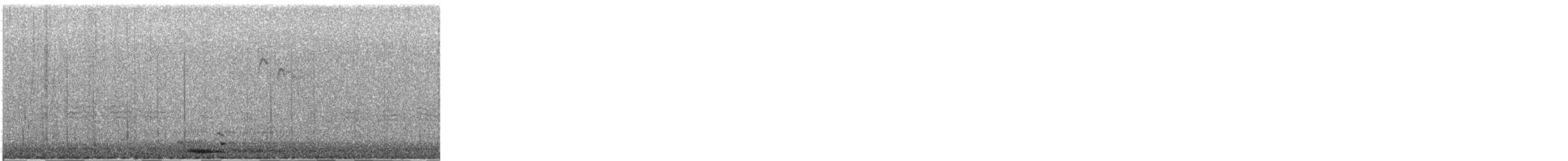 Common Raven - ML647350295