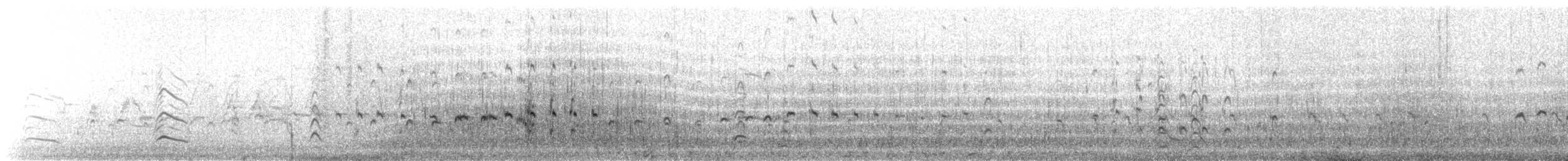 Arctic Tern - ML647350521