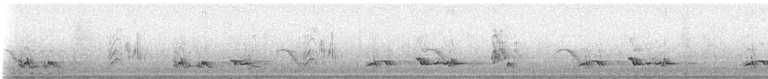 Дрізд мандрівний - ML647350539