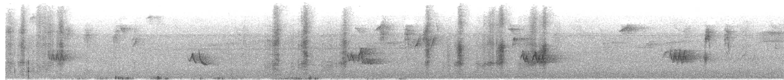 Black-crowned Tityra - ML647350655