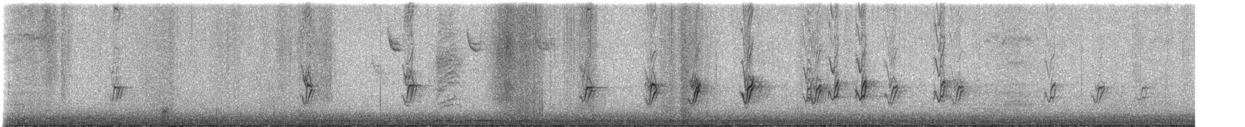 House Finch - ML647350705