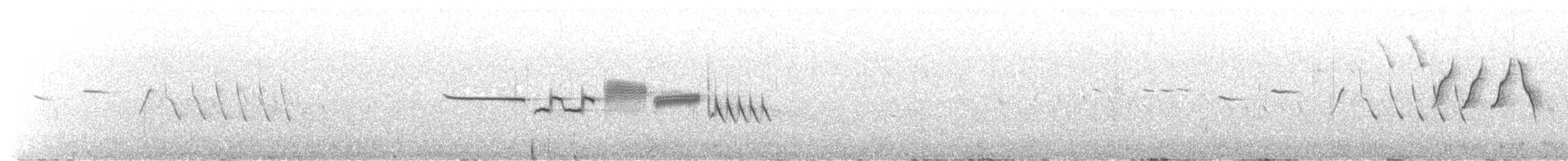 White-crowned Sparrow - ML647351257