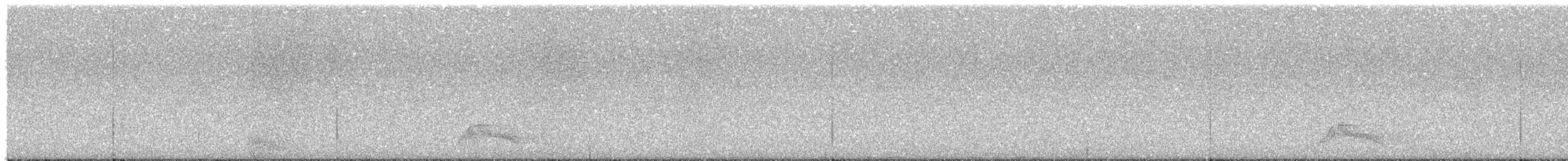 pauraquenattravn - ML647352062