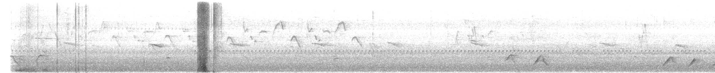 Greater Racket-tailed Drongo - ML647352125