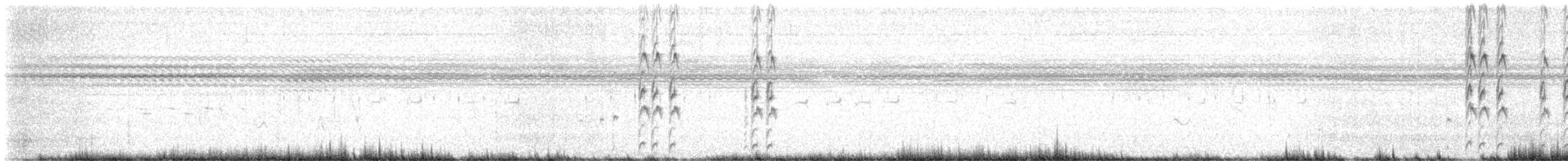 Бігунець смугастоволий - ML647354395