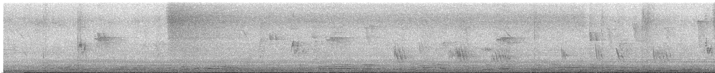 gråbrystsvale - ML647355234