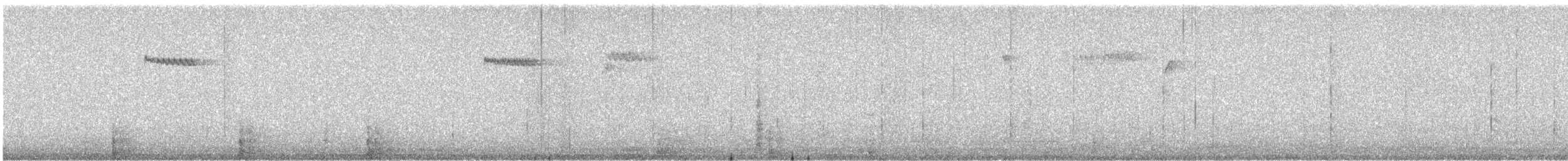 Brown Creeper - ML647356073