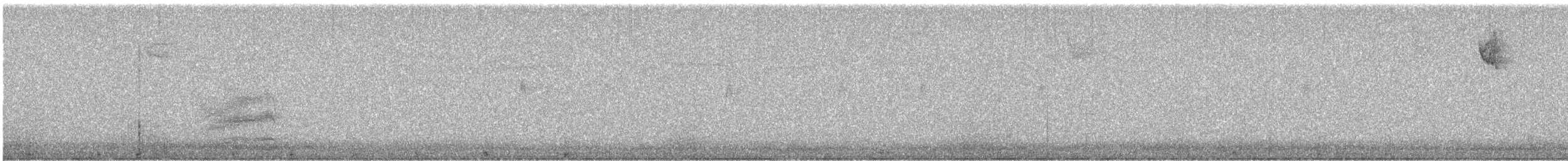 Spotted x Eastern Towhee (hybrid) - ML647356860