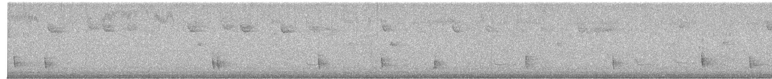 Einsiedler-Musendrossel - ML647356891