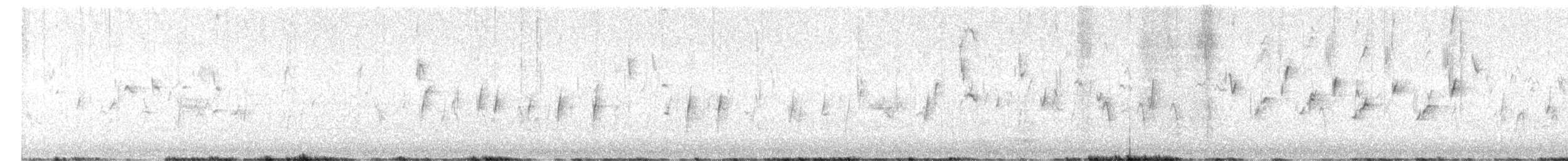 Шишкар ялиновий - ML647357020