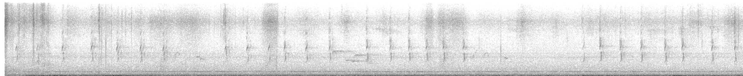 Couturière à longue queue - ML647357084