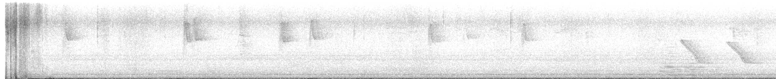 Couturière à longue queue - ML647357085