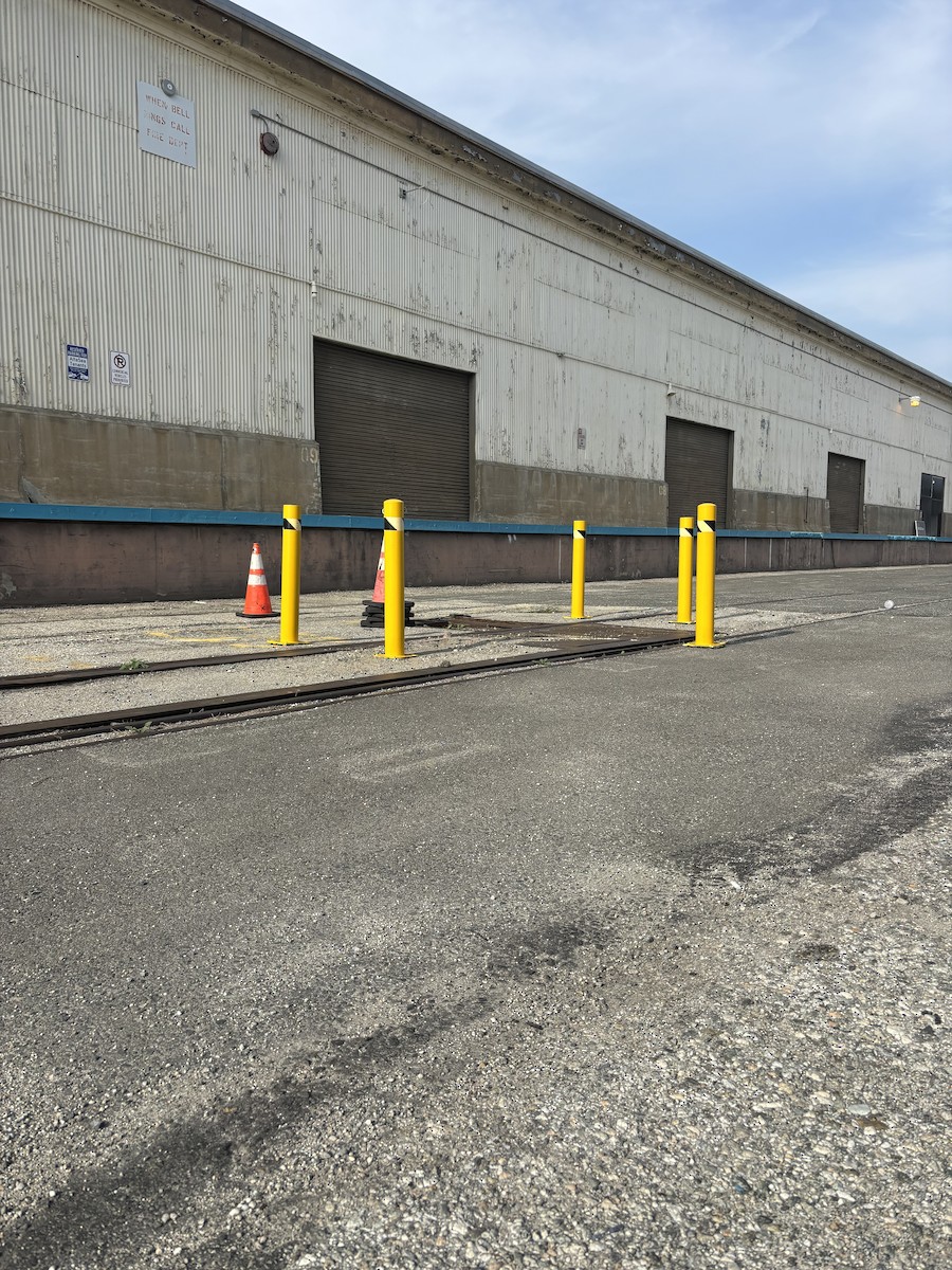 Burrowing Owl - ML647357644