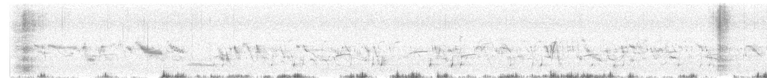 Common Quail - ML647358649