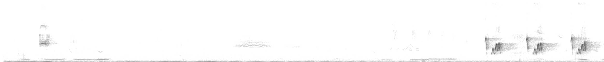 Superciliated Wren - ML647358903