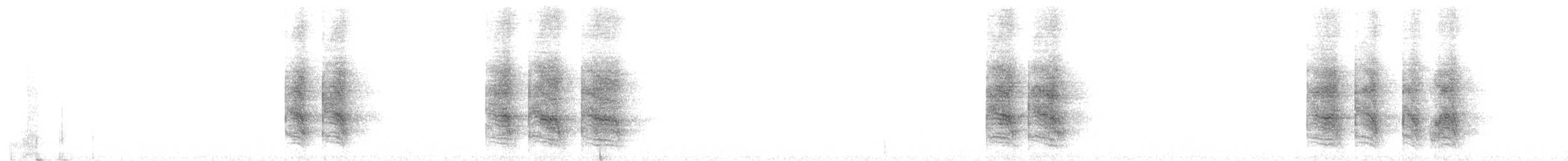 Green Jay (Inca) - ML647359368