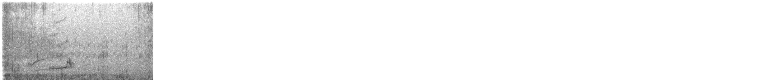 Smooth-billed Ani - ML647359643