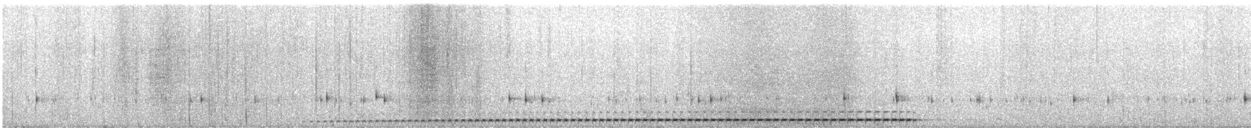 skjellmaurpitta - ML647359989