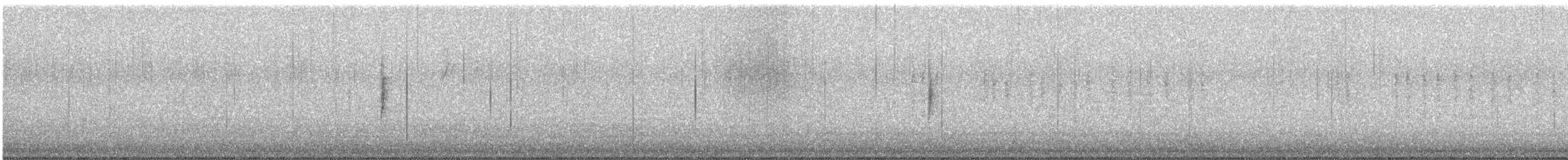 Yellow-rumped Warbler (Audubon's) - ML647360034