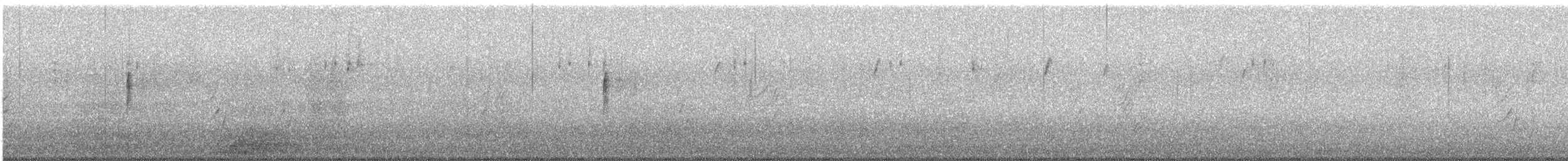 lesňáček žlutoskvrnný (ssp. auduboni) - ML647360035