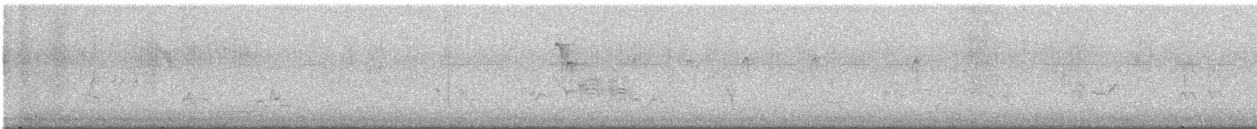 American Robin - ML647360105