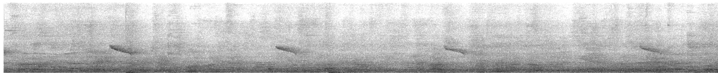 Kapbrillenvogel - ML647360366