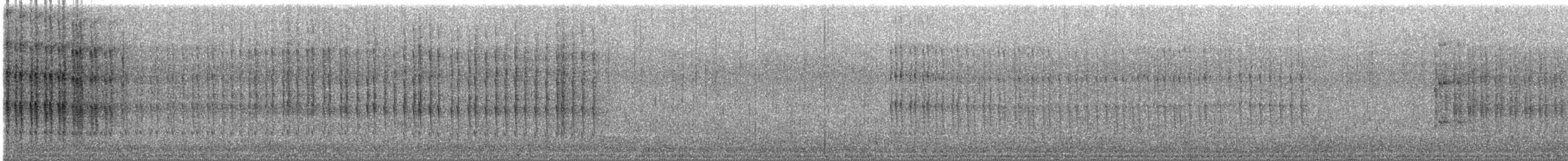 Belted Kingfisher - ML647360435