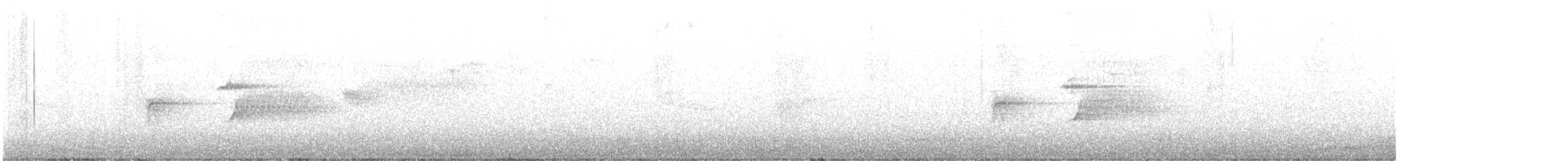 Spotted Towhee - ML647360609