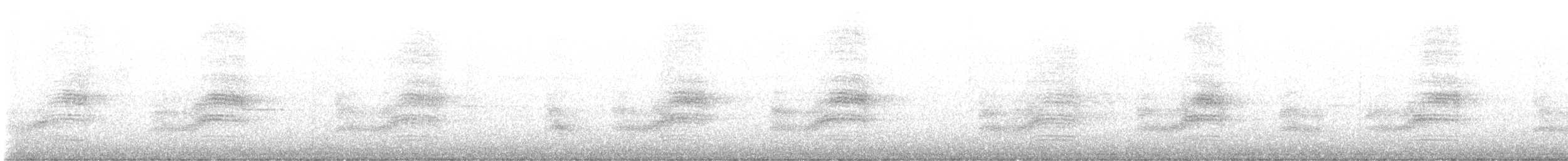 Spotted Towhee - ML647360610